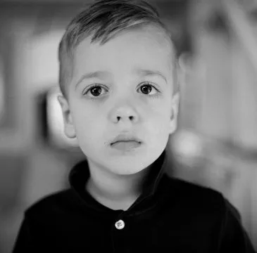 用户使用官方认证门户示意图